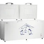 Hisense-660L-Double-Door-Chest-Freezer-FC-66DT4SA-2