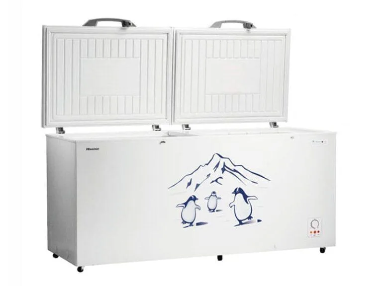 Hisense-660L-Double-Door-Chest-Freezer-FC-66DT4SA-2