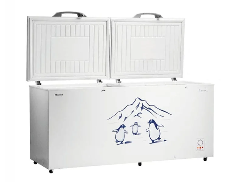Hisense-660L-Double-Door-Chest-Freezer-FC-66DT4SA-2