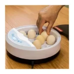 Olsenmark OMEI2445 Digital Egg Incubator – 9-Egg Capacity, Automatic Temperature & Humidity Control Poultry Hatcher