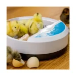 Olsenmark OMEI2445 Digital Egg Incubator – 9-Egg Capacity, Automatic Temperature & Humidity Control Poultry Hatcher