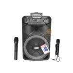 Jazz 15 Inch Portable Public Address speaker with 2 mics And Amplifier RFR120