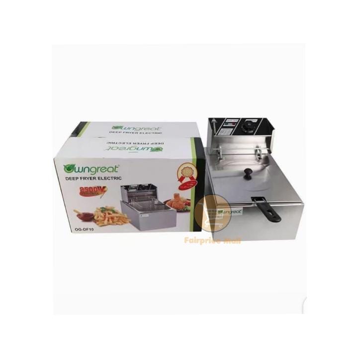 Owngreat Electric Deep Fryer 6L