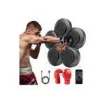 Wall Mounted Smart Boxing Trainer with Music & Bluetooth