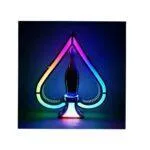 Champagne VIP Bottle Display Stands, Ace of Spades Champagne Bottle Presenter with Remote Control