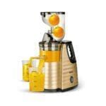 RAF Slow Juicer & Juice Extractor 150W | R.2838