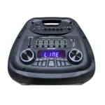Saachi 12 Inch Professional Battery Speaker System with Dual Microphones NL-SP-6336