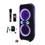 Saachi 12 Inch Professional Battery Speaker System with Dual Microphones NL-SP-6336