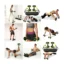 Abdominal ABS Powerful Trainer Workout Kit – Total Body Home Fitness Trainer